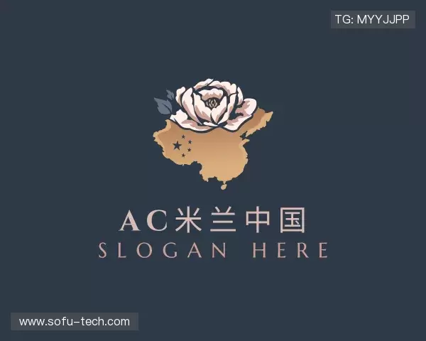 发现ac米兰中国